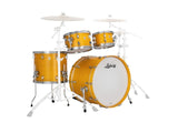 Kit Ludwig 4PC Neusonic Rapid Mod 2 10 12 16 22BD