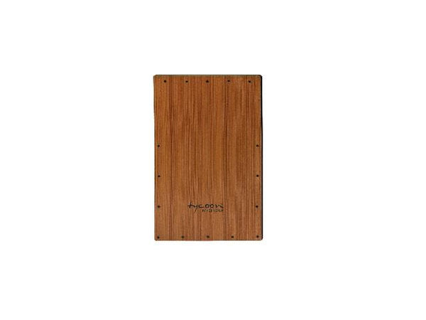 Plaque avant Tycoon Cajon